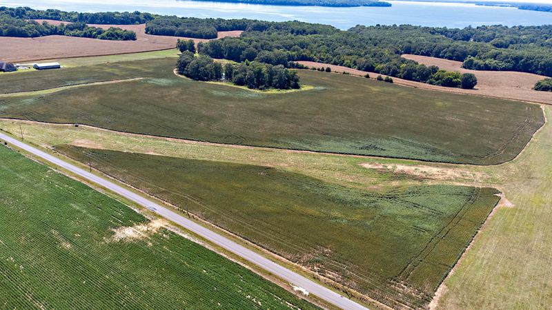 Aerial of farm fields and tree lines beside a road