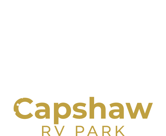Capshaw RV Park logo with a white magnolia branch and gold lettering