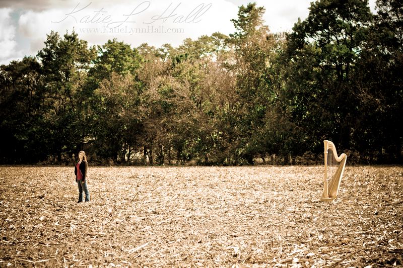 Harpist and harp, small in a wide autumn field