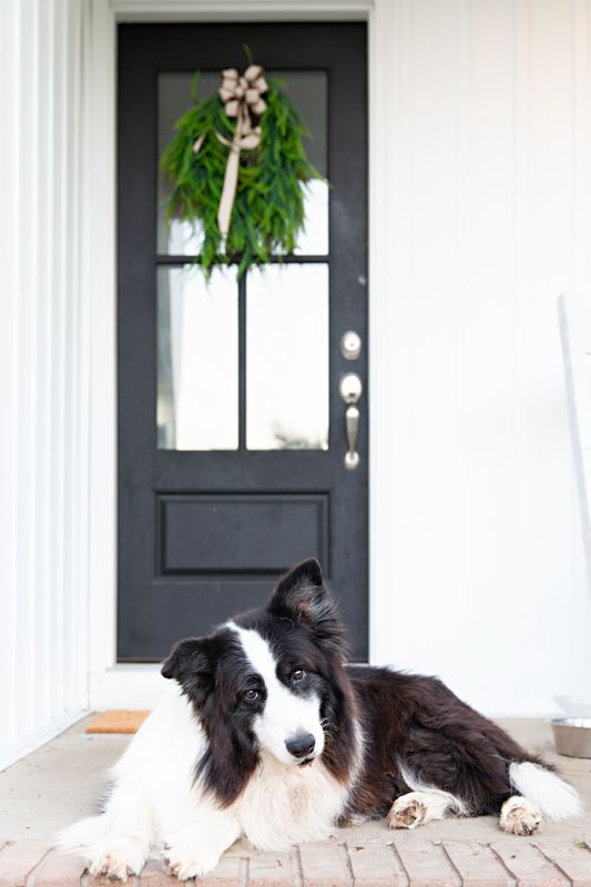 Border collie lying at a white front door with a holiday wreath